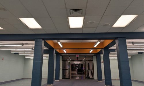 Updated Library Interior