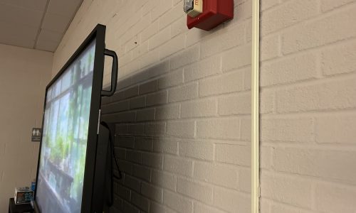 Wall Surface Condition