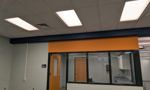 Refreshed Door & Window Trim