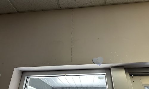 Wall Surface Condition