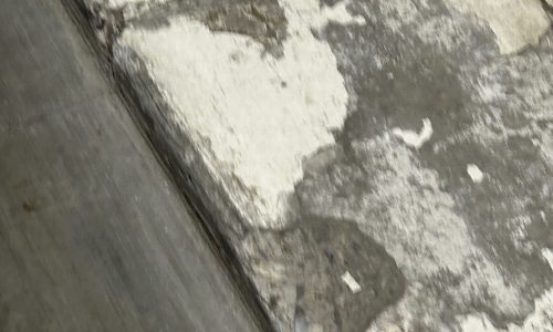 Damaged Rodent Run Lines