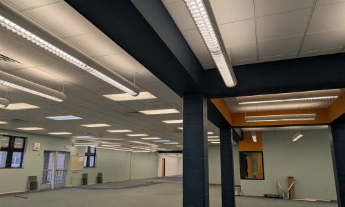 Updated Library Interior