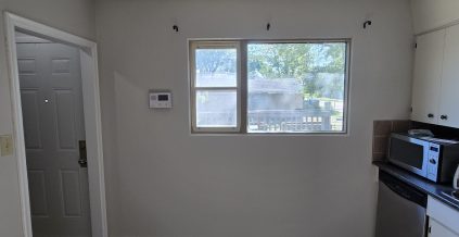 Basement Suite Repaint