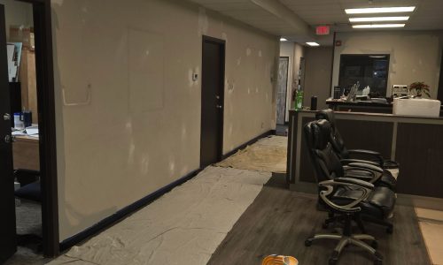 Trim and Door Updates