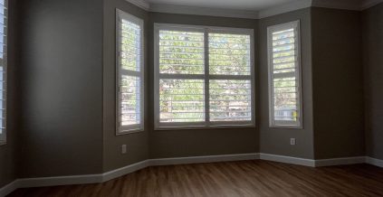 Residential Painting Project
