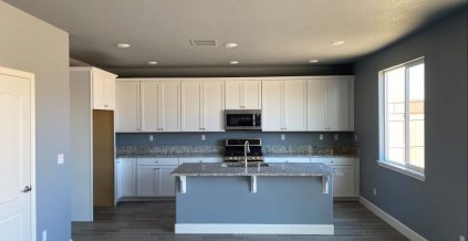 Kitchen Painting Project