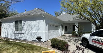 Exterior Residential Paint Project