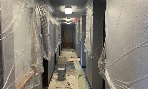 Rpeainting the Drywall