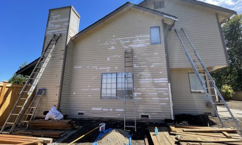 Scrapping the Wood Siding