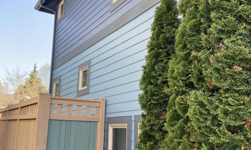 Stained Perimeter Fence and Repaired Window Frames