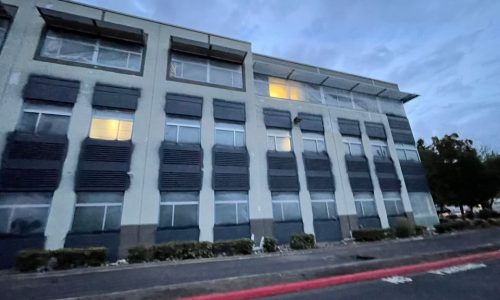 Painting in Progress