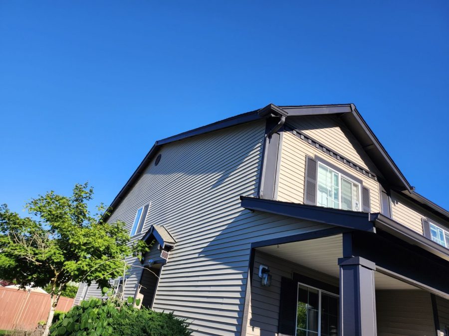 Residential Painting Project (After) Preview Image 3