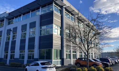 Professional Commercial Painting Service