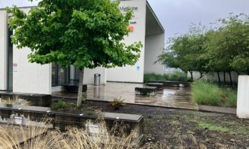 Clinic Building Front - Before