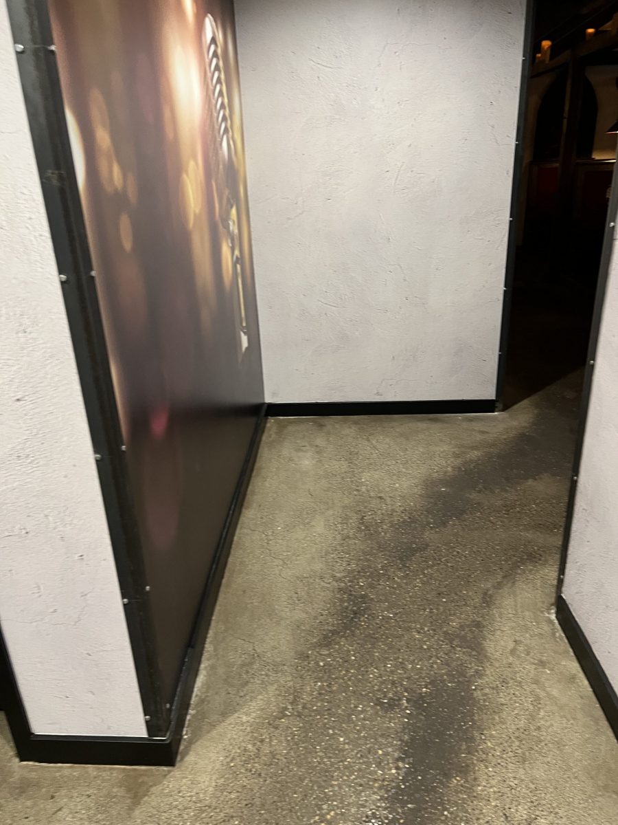 After Trim Preview Image 1