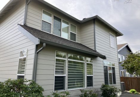 Back View of Exterior Painting