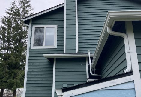 Siding Painting