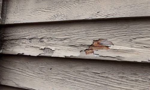 Close Up Paint Failing