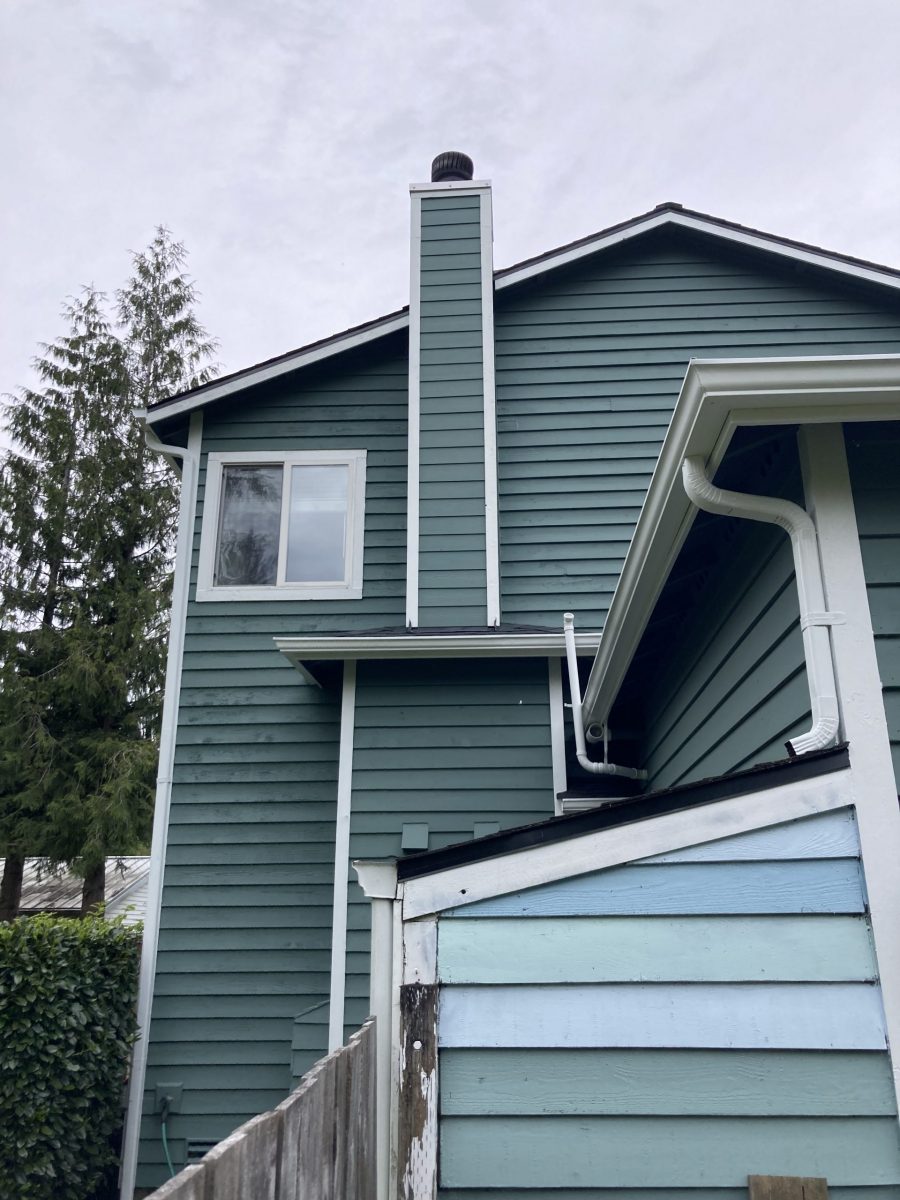 Siding Painting Preview Image 2