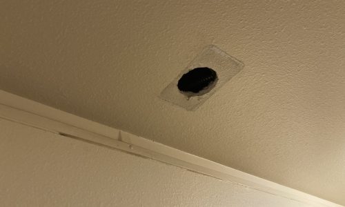 Hole Needs to Repaired