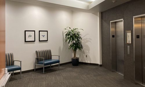 Bright and Refreshed Elevator Lobby