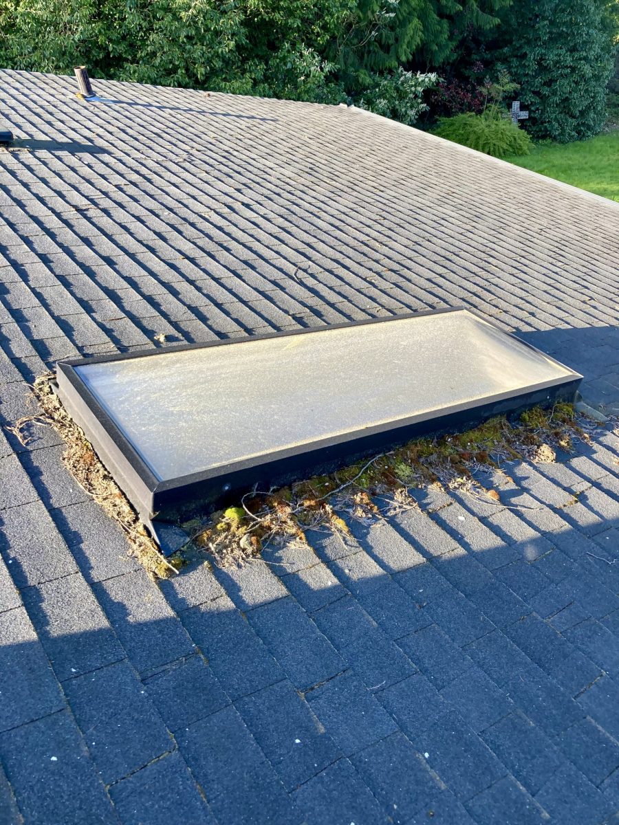 Skylight Back (Before) Preview Image 1