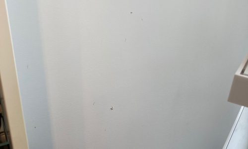 Before Photo of White Wall in Interior Showroom