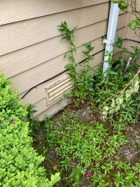 Kent Residential Painting Project (Before) Preview Image 8