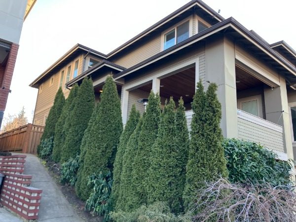 house with aged green paint Preview Image 7