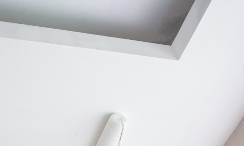 Painting Ceiling & Trim