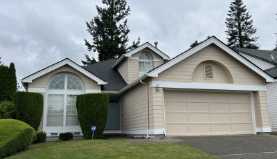 Exterior Painting Service
