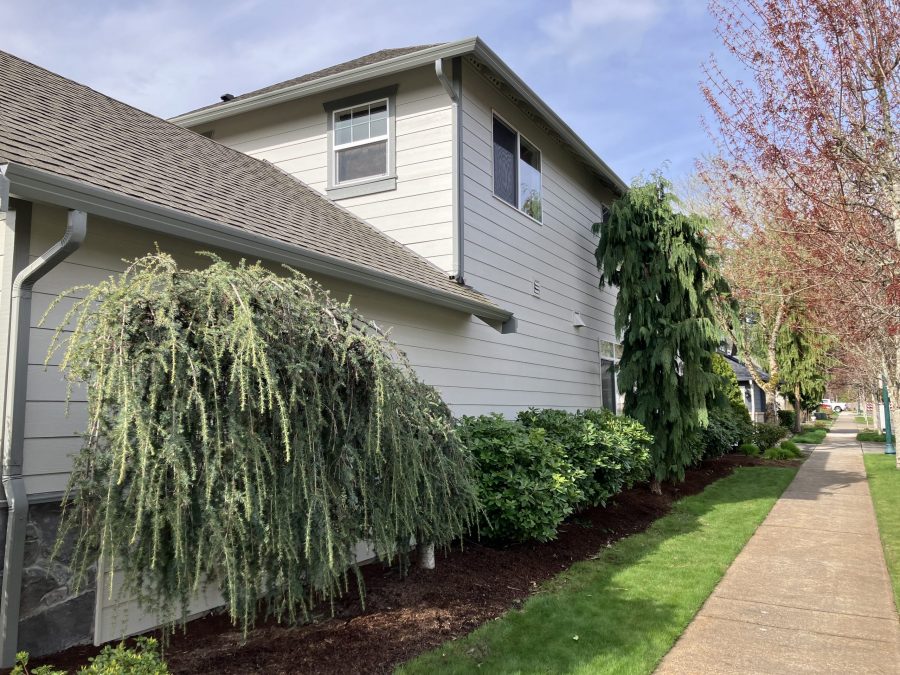 Side View of House Preview Image 2