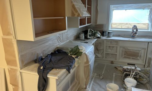 Cabinet Painting in Progress