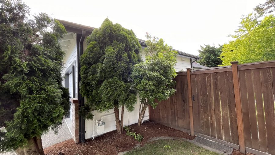 Full Exterior Painting Project (After) Preview Image 9