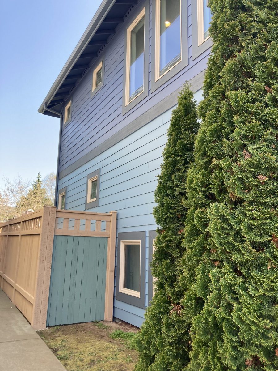 blue painted house Preview Image 2