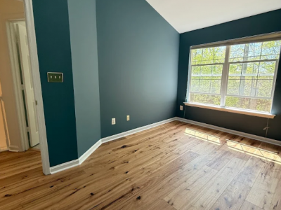 Interior Accent Wall Project