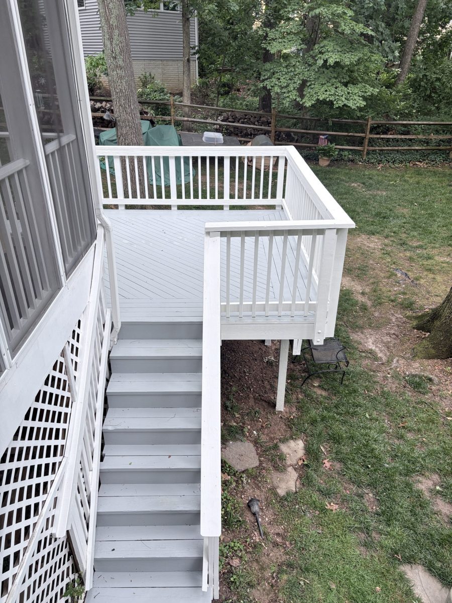 Deck Painting Project