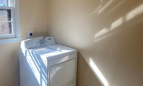 Laundry Room Painting