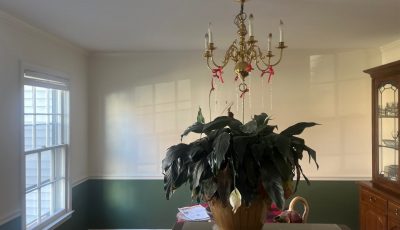 Dining Wall Green and White