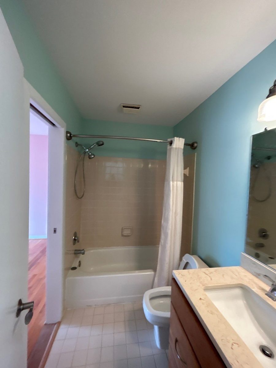 Kid's Bathroom Update Preview Image 2