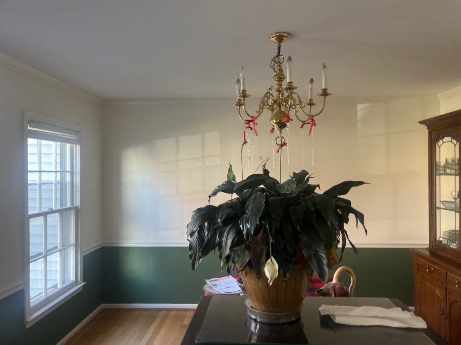 Dining Wall Green and White