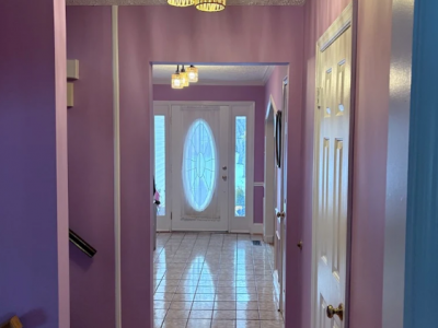 Interior Painting Project