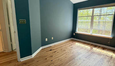 Interior Accent Wall Project