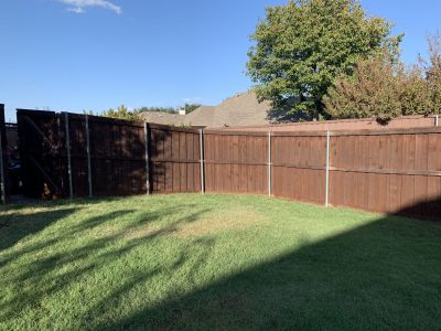 fence staining