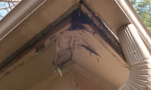 Rotted Soffit
