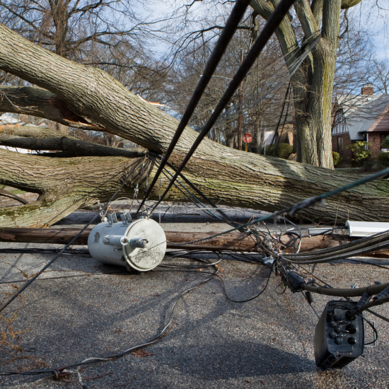 Storm Damage & Repair Services in Richardson, TX