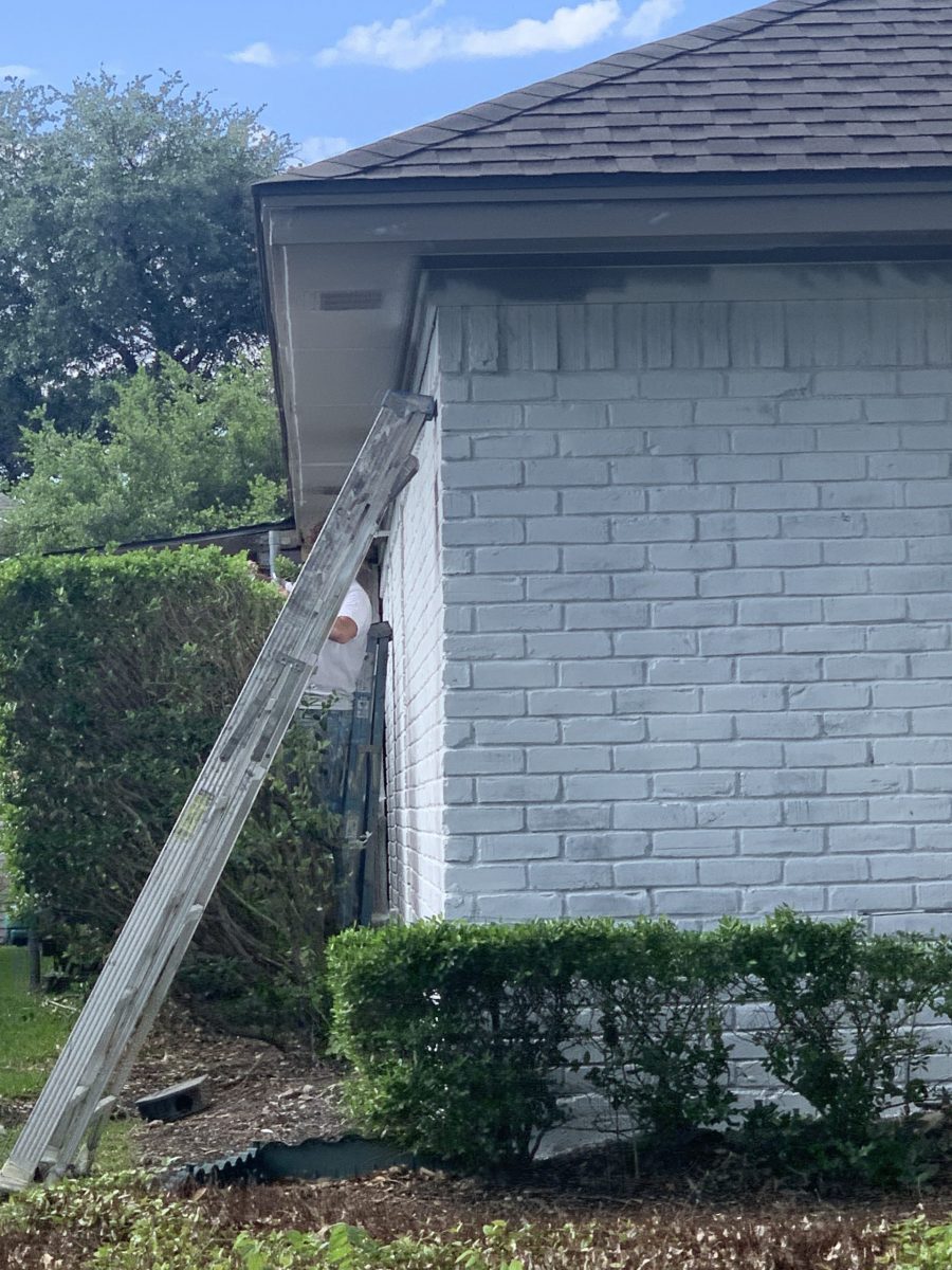 painted brick Preview Image 2