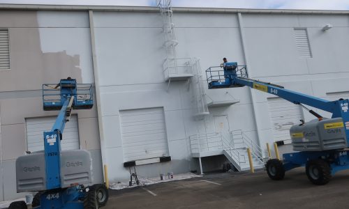 Painting in Progress