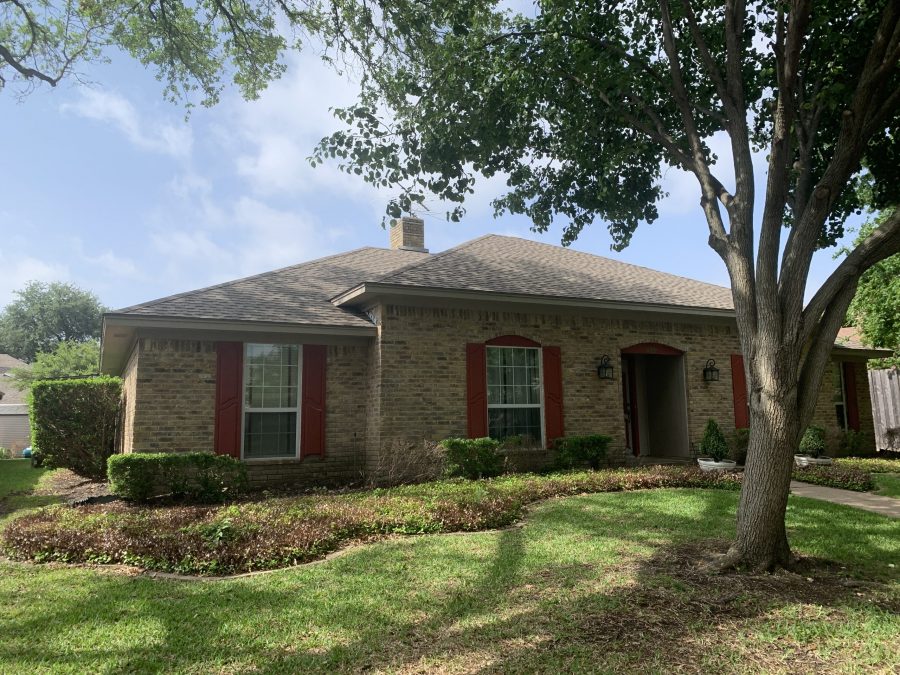 before painting Preview Image 3