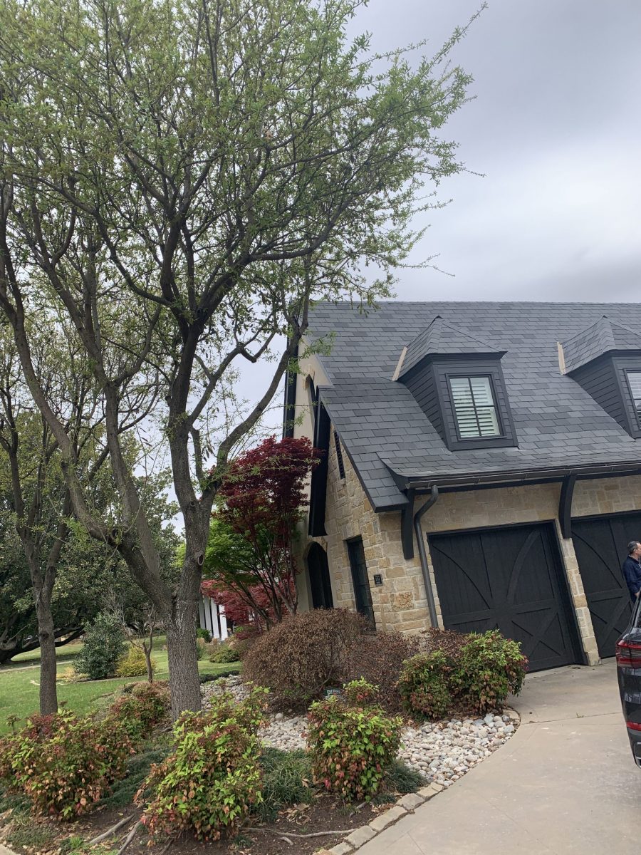 estate Preview Image 5